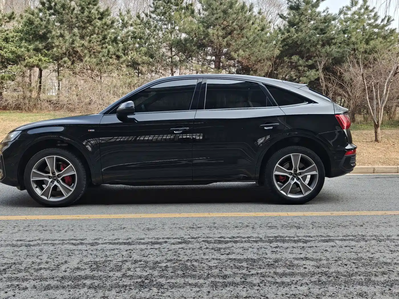 Audi Q5L Sportback 2023 2023 40 TFSI Ice & Snow Sport Edition