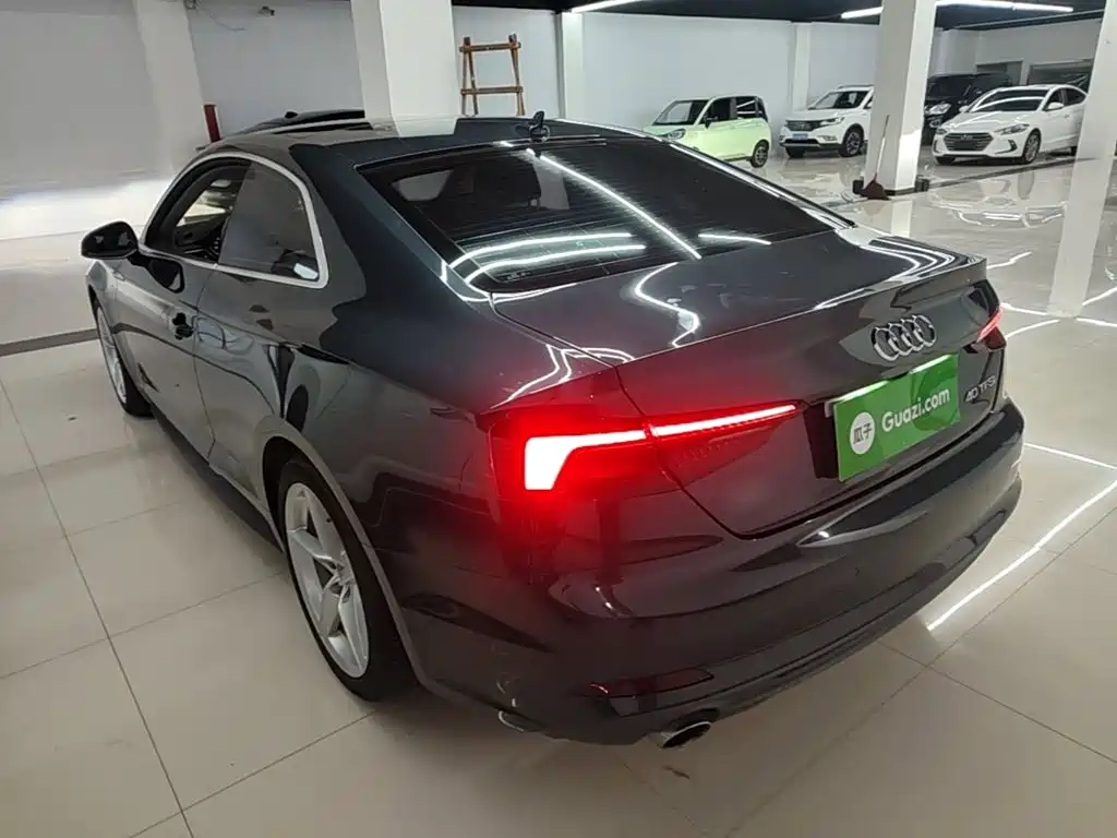 Фото 5 - Audi A5 (Import)
