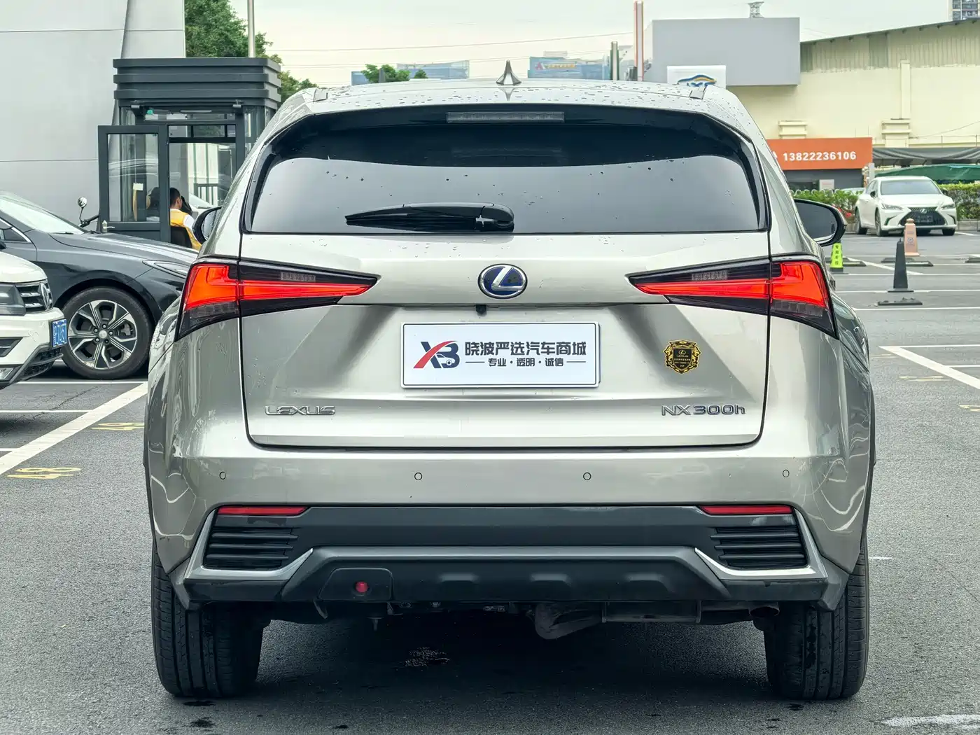 LEXUS NX
