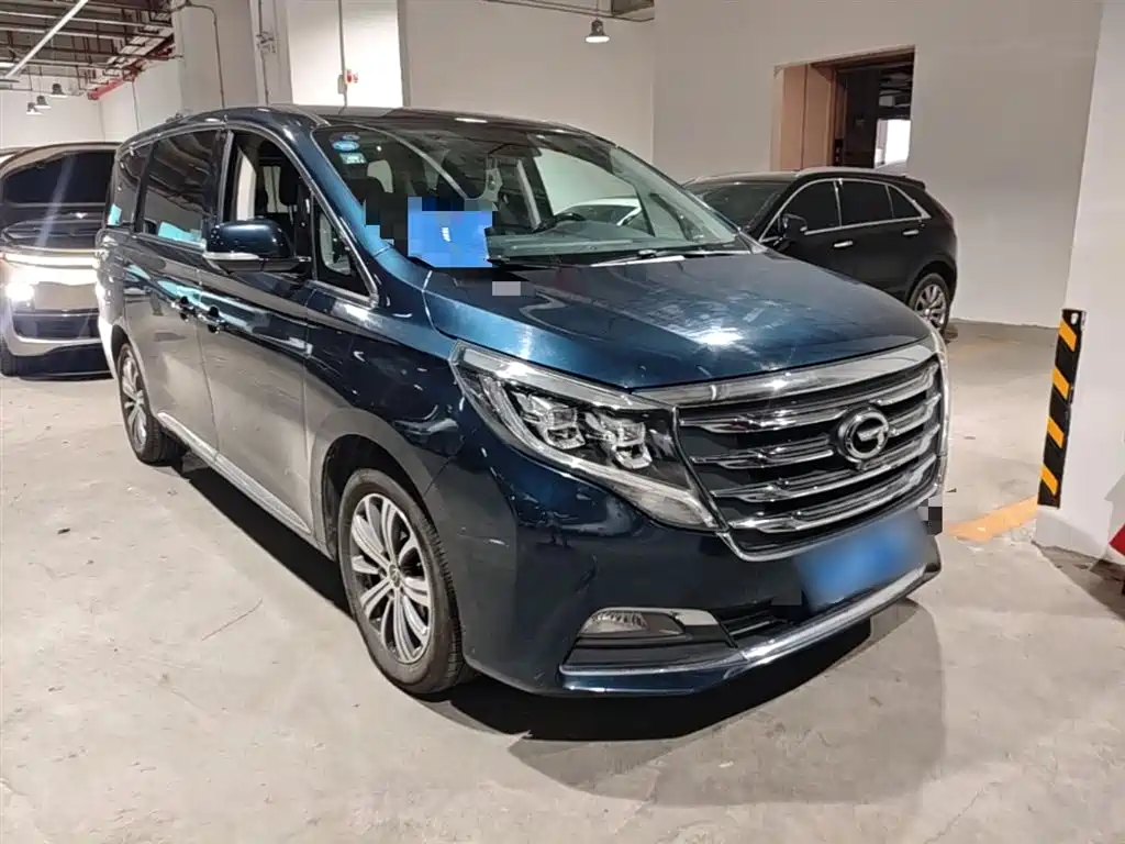 GAC Trumpchi Trumpchi M8 2019 320T Ultimate Edition фото 4