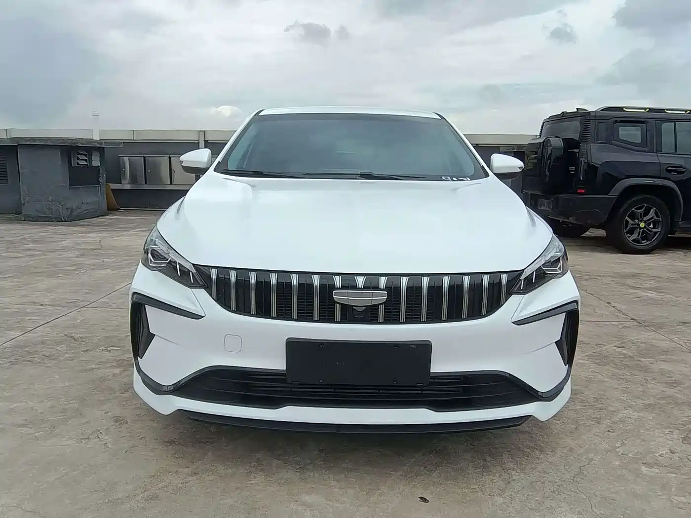 Фото 2 - Geely Binrui