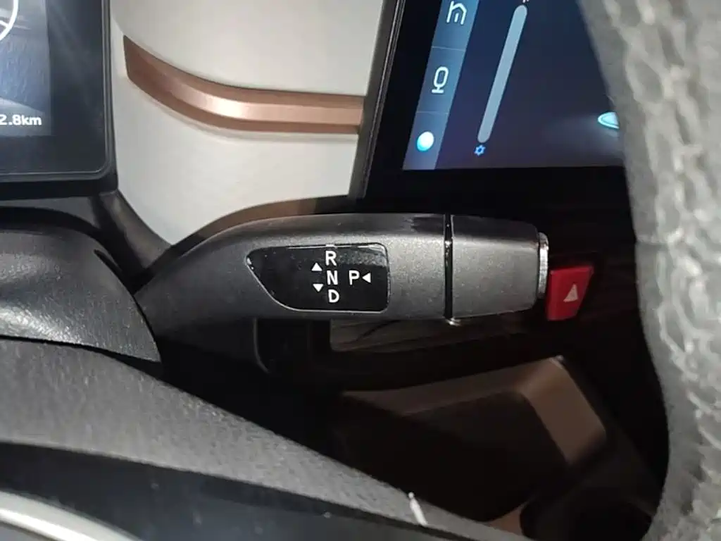 Sehol Flower Fairy 2021 2021 302km Luxury Edition 31.4kWh