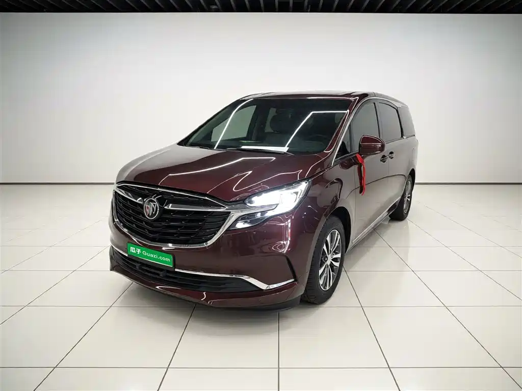 Buick GL8 2022 ES Landmark 653T Premium фото 2