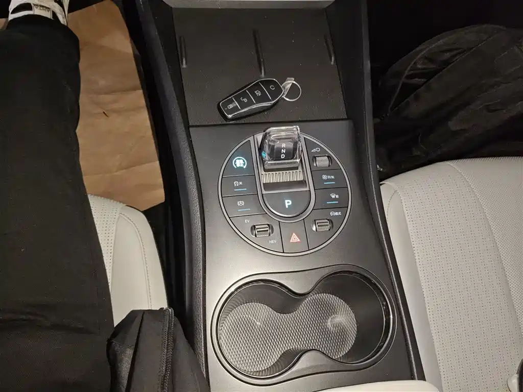 BYD Hai Bao 05 DM-i 2025 DM-i Smart Drive Edition 55KM Luxury фото 10