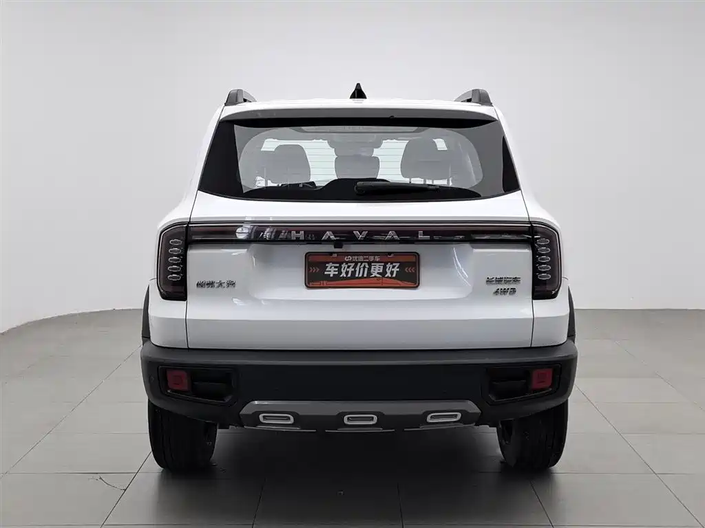Haval Big Dog 2024 2.0T DCT Chinese Rural Dog Edition фото 4