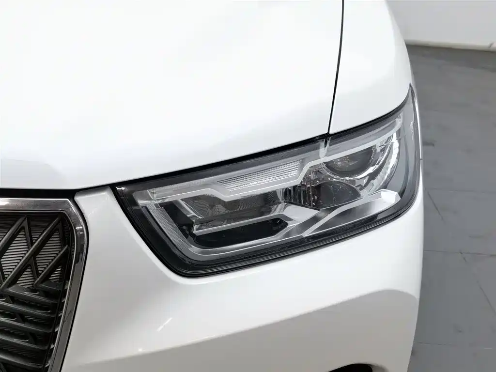 Haval H6 2021 1.5GDIT Automatic Champion Edition фото 7