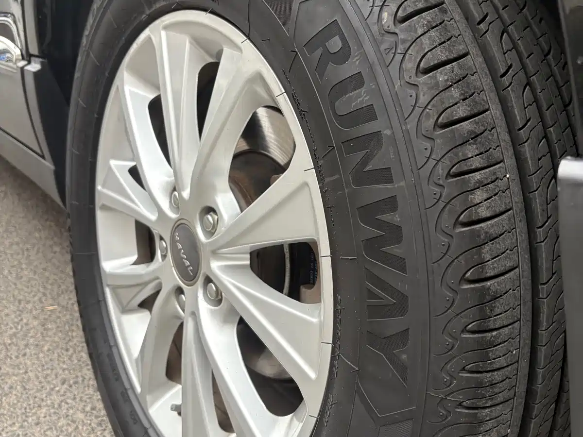 Haval H6 2018 Blue Label Sport 1.5T Manual 2WD Elite фото 13