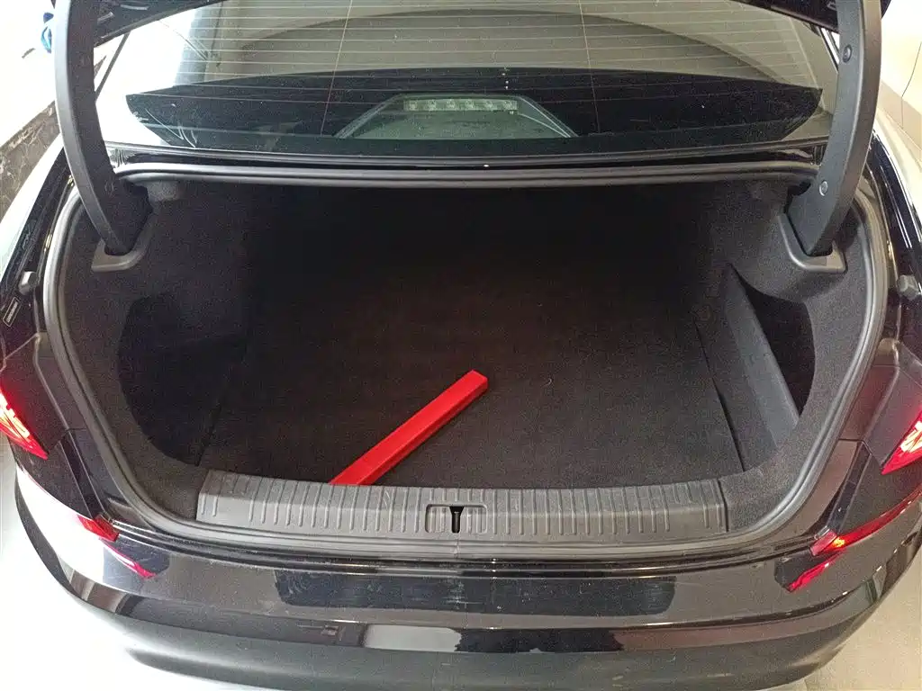 Volkswagen Passat 2023 330TSI Starlight Luxury Edition фото 15