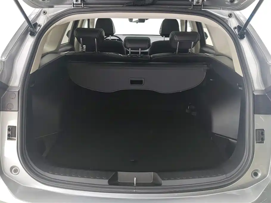 Haval H6 2022 3rd Gen 1.5T Auto 2WD Max фото 4
