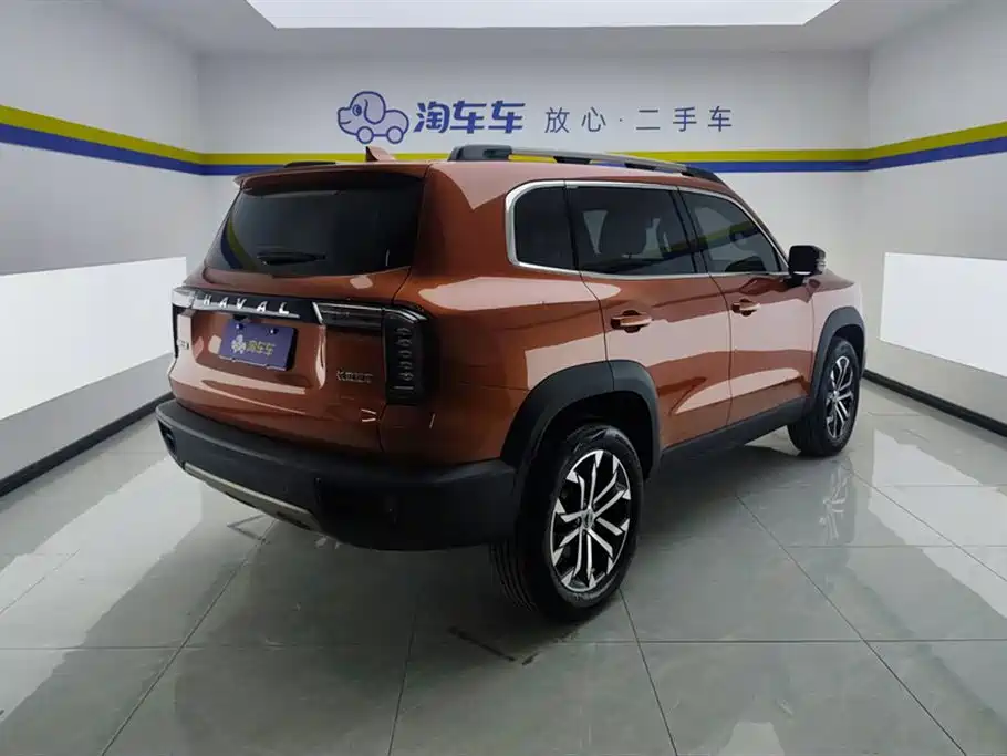 Haval Big Dog 2021 1.5T DCT 2WD Border Collie Edition фото 3