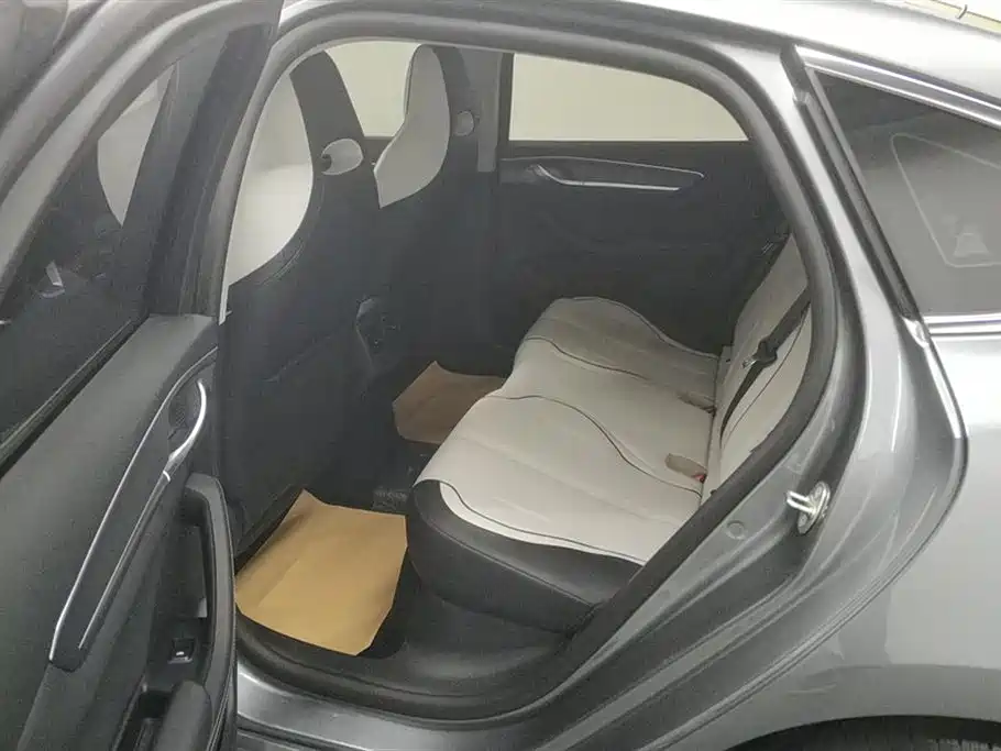 BYD Destroyer 05 2024 Glory Edition DM-i 55KM Luxury фото 11