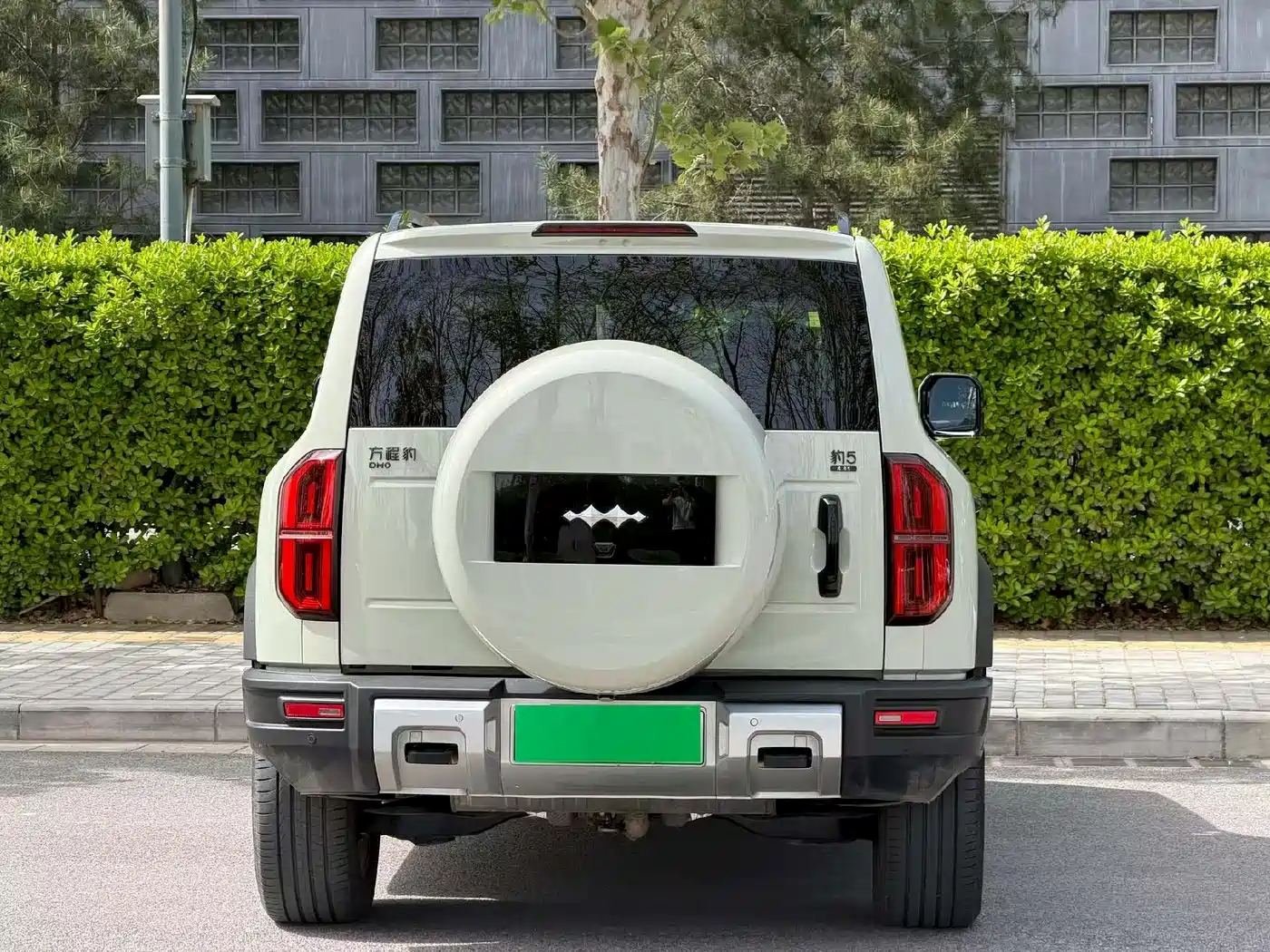 FANG CHENG BAO LEOPARD 5