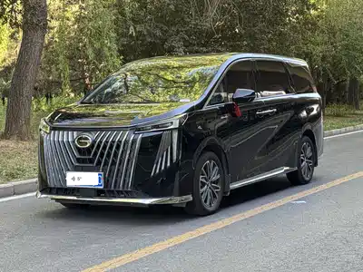 Trumpchi M8