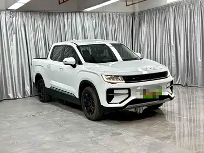 Geely Riddara RD6