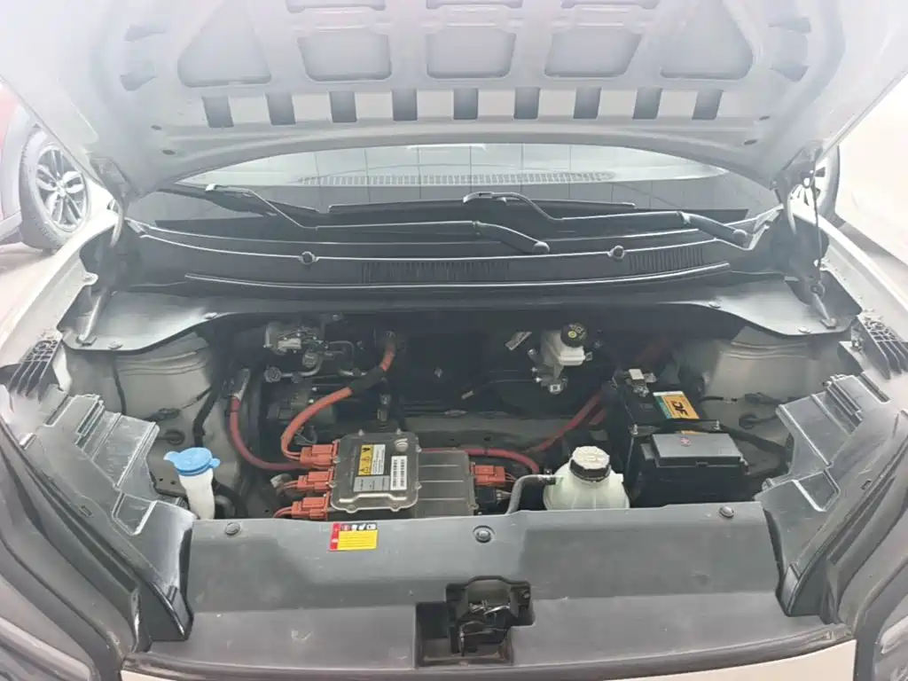 Wuling Motors Wuling Binguo PLUS 2025 2024 Model 330km 5-Seater