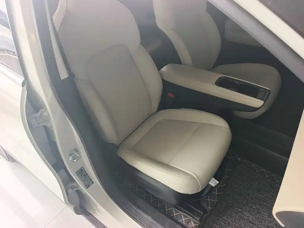 Wuling Motors Wuling Binguo PLUS 2025 2024 Model 330km 5-Seater