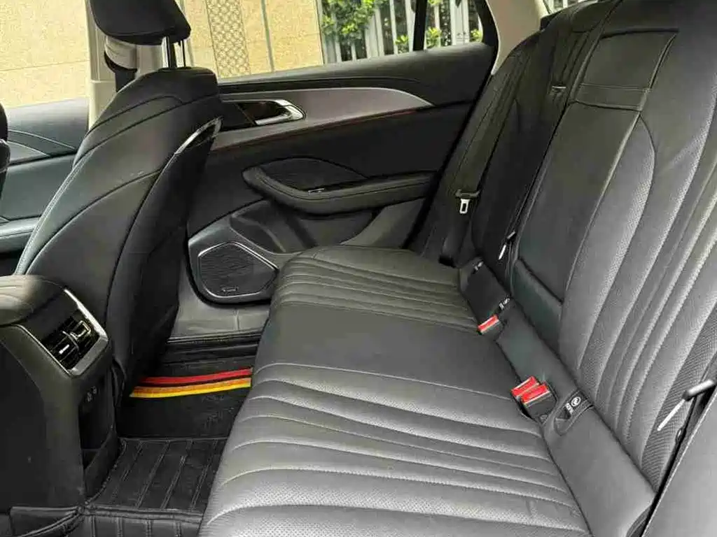 Hongqi H5 2023 2.0T Auto Smart Connect Flag Comfort фото 10