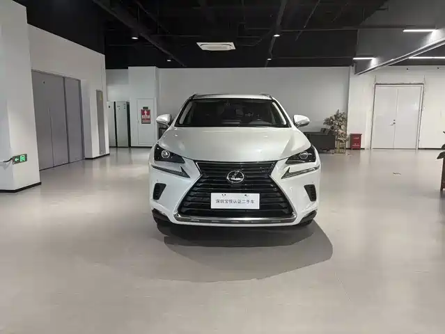 Lexus NX 2018 Model 200 FWD Fengxing Edition China V — фото 2