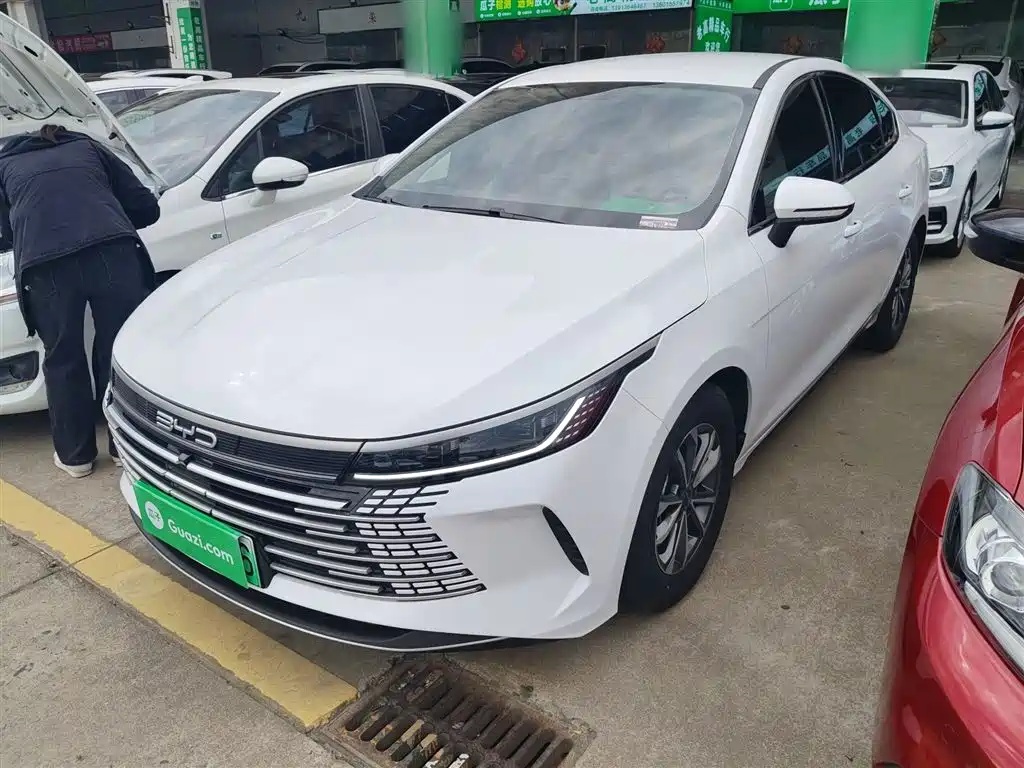 BYD Destroyer 05 2024 Glory Edition DM-i 55KM Luxury фото 2