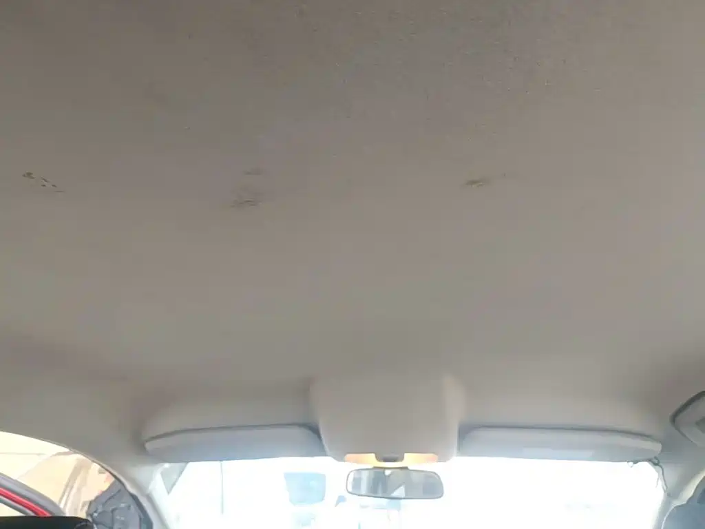  WING FIGHT