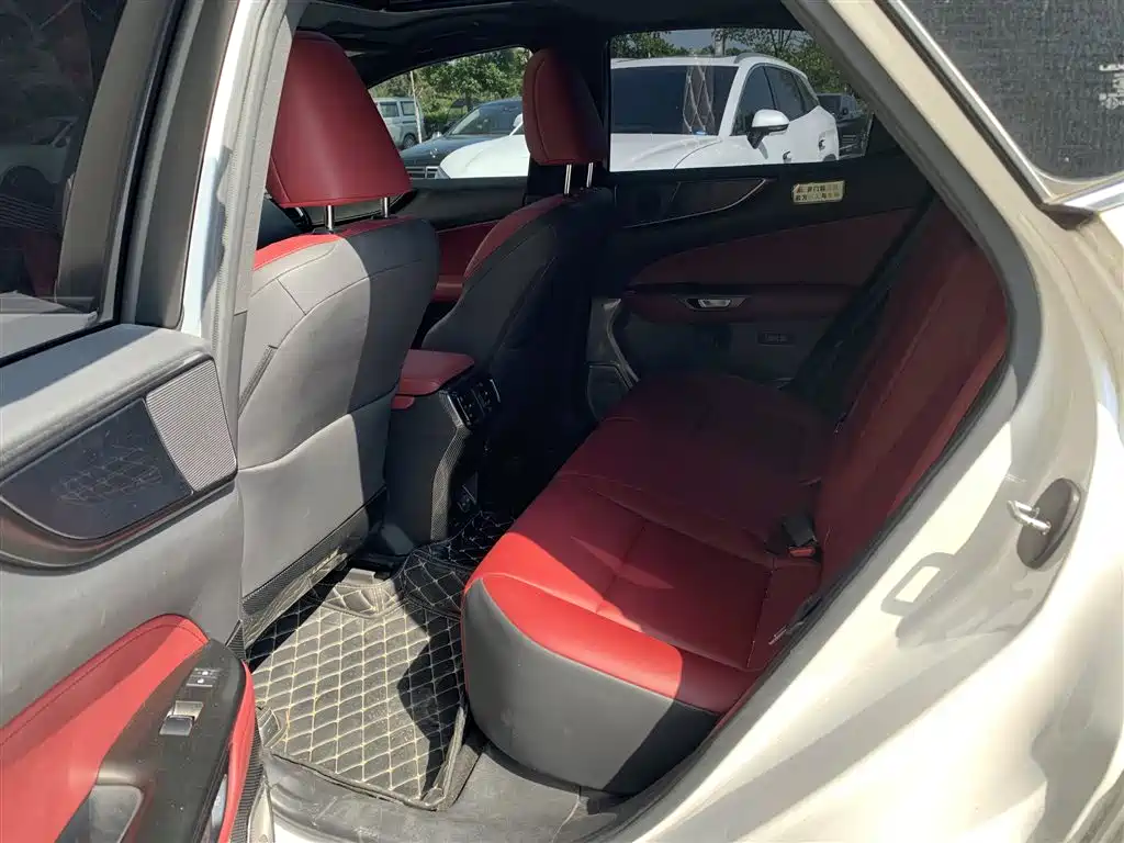 Lexus NX 2023 2022 260 FWD Joy Creation Edition