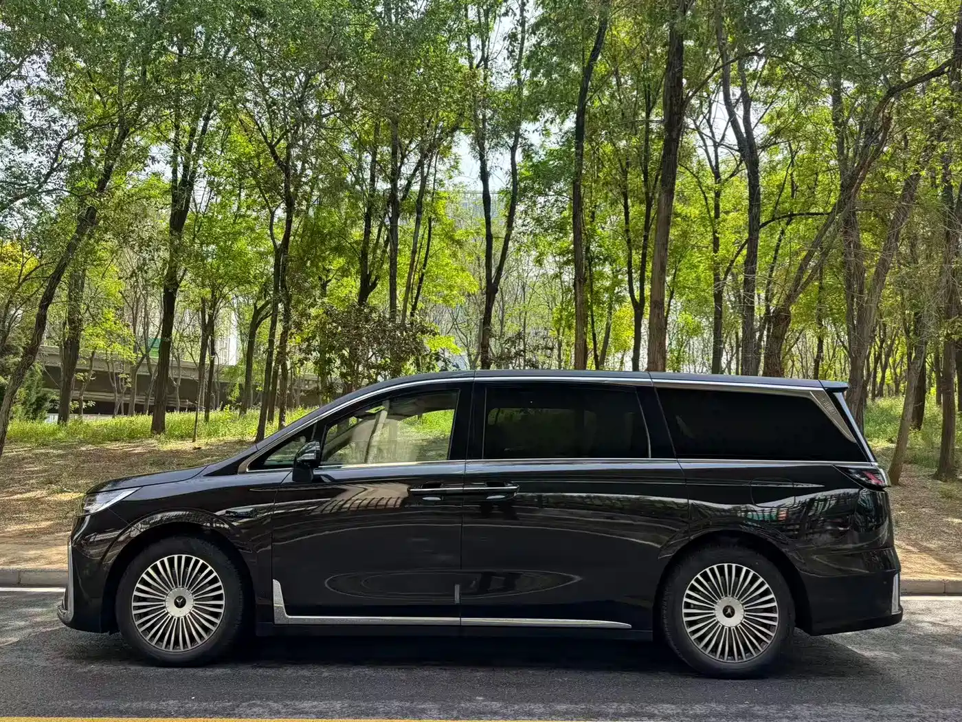 Voyah Auto Voyah Dreamer 2025 Model PHEV 4WD Premium QianKun Edition фото 3