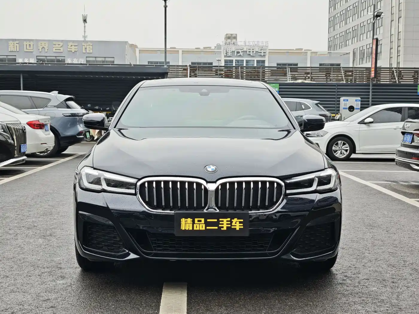BMW 5 Series 2021 530Li Leading M Sport Package фото 2