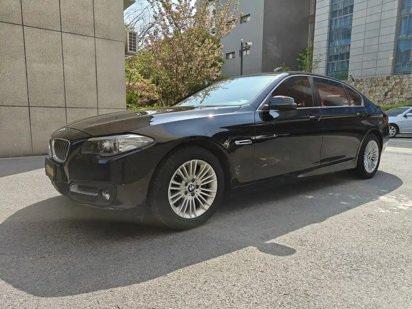 BMW 5 Series 2013 525Li Leadership