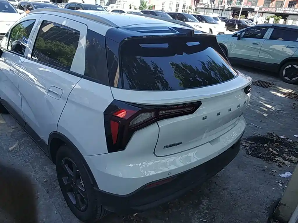 Geely Geometry E Firefly 2025 2024 Model 401km Fluorescent