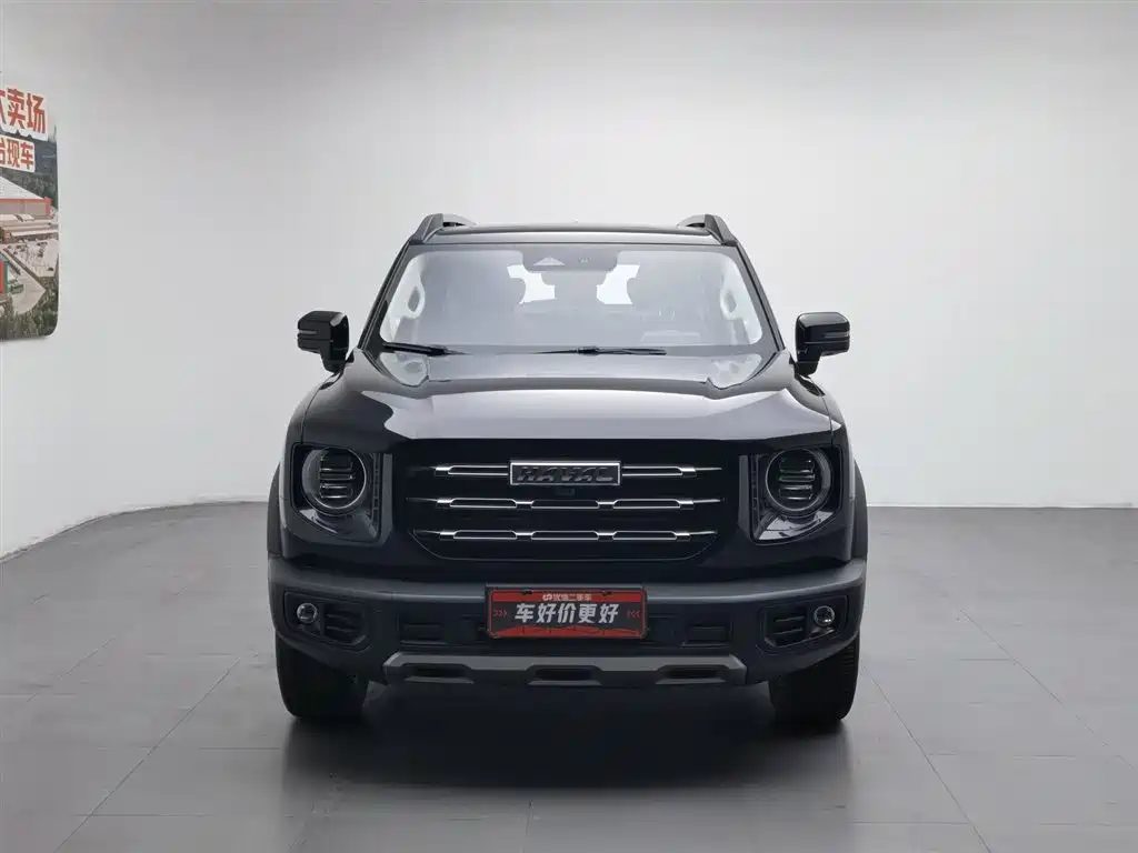 HAVAL BIG DOG