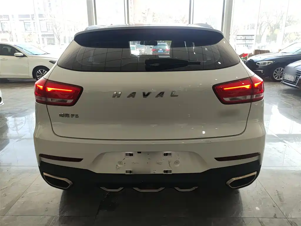 Haval F5 2019 National Trend Edition 1.5T iTrend China VI фото 6