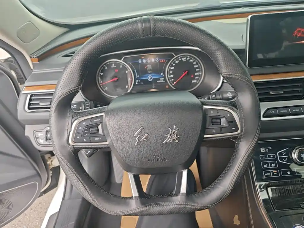 صورة 11 - Hongqi H5