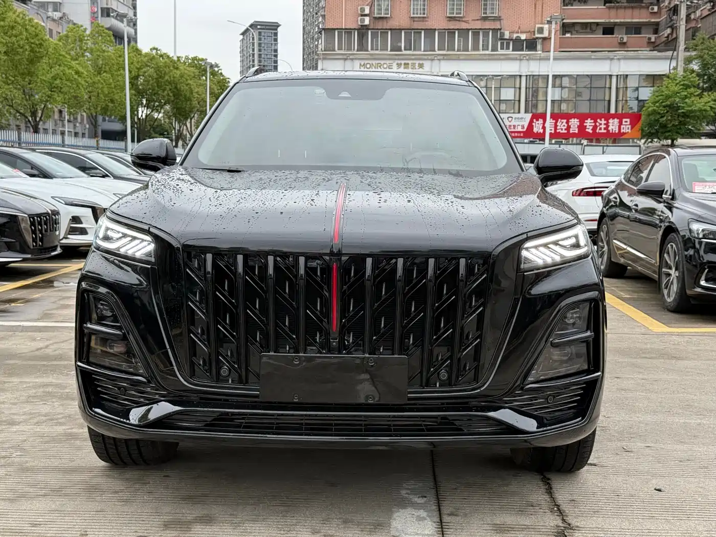 Hongqi HS5 2025 2.0T 2WD Mystic Shadow Edition фото 2