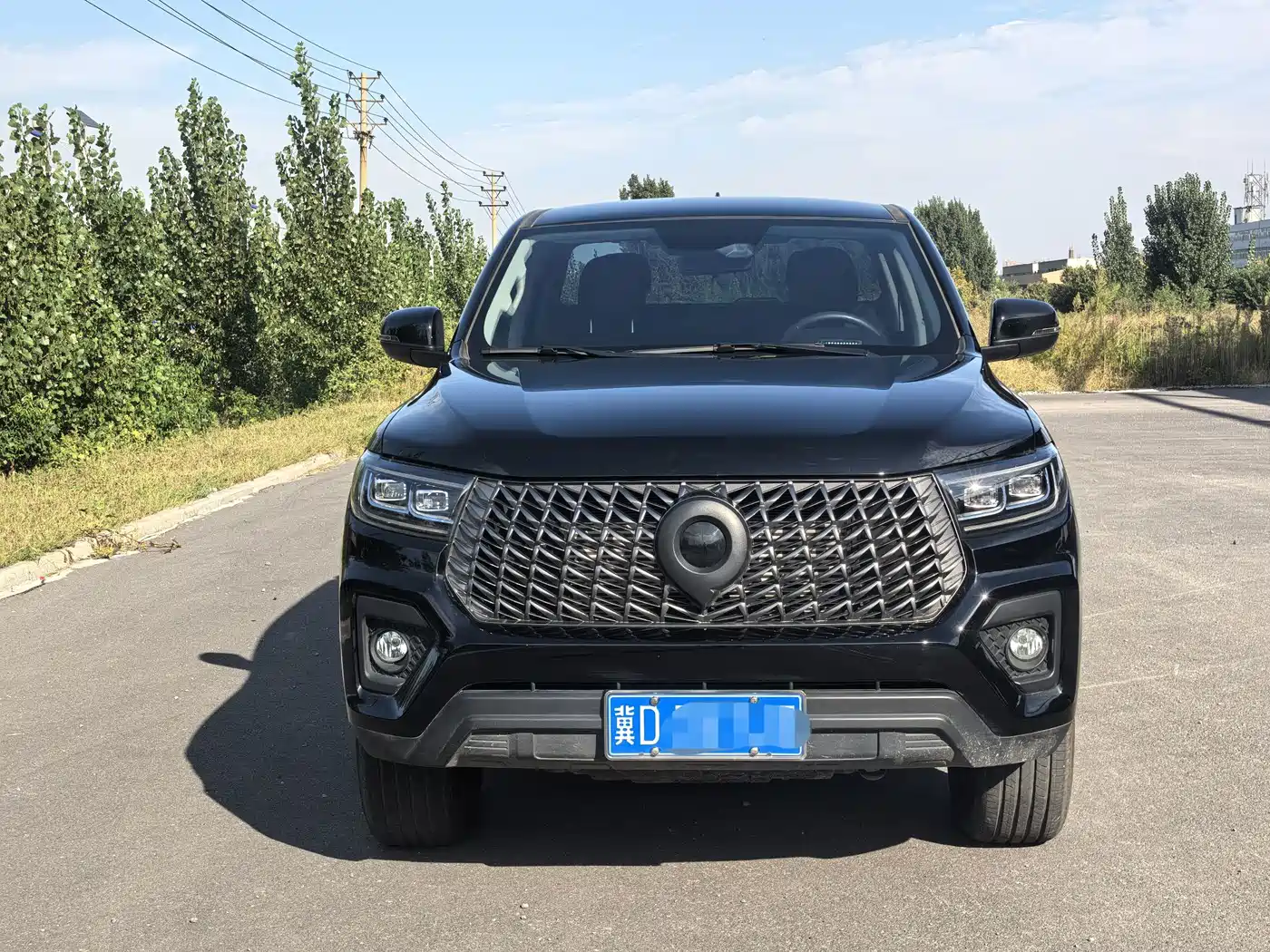 Great Wall Pao 2026 2026 Model 2.0T Commercial Edition Automatic Diesel 4WD Elite Long Box GW4D20M