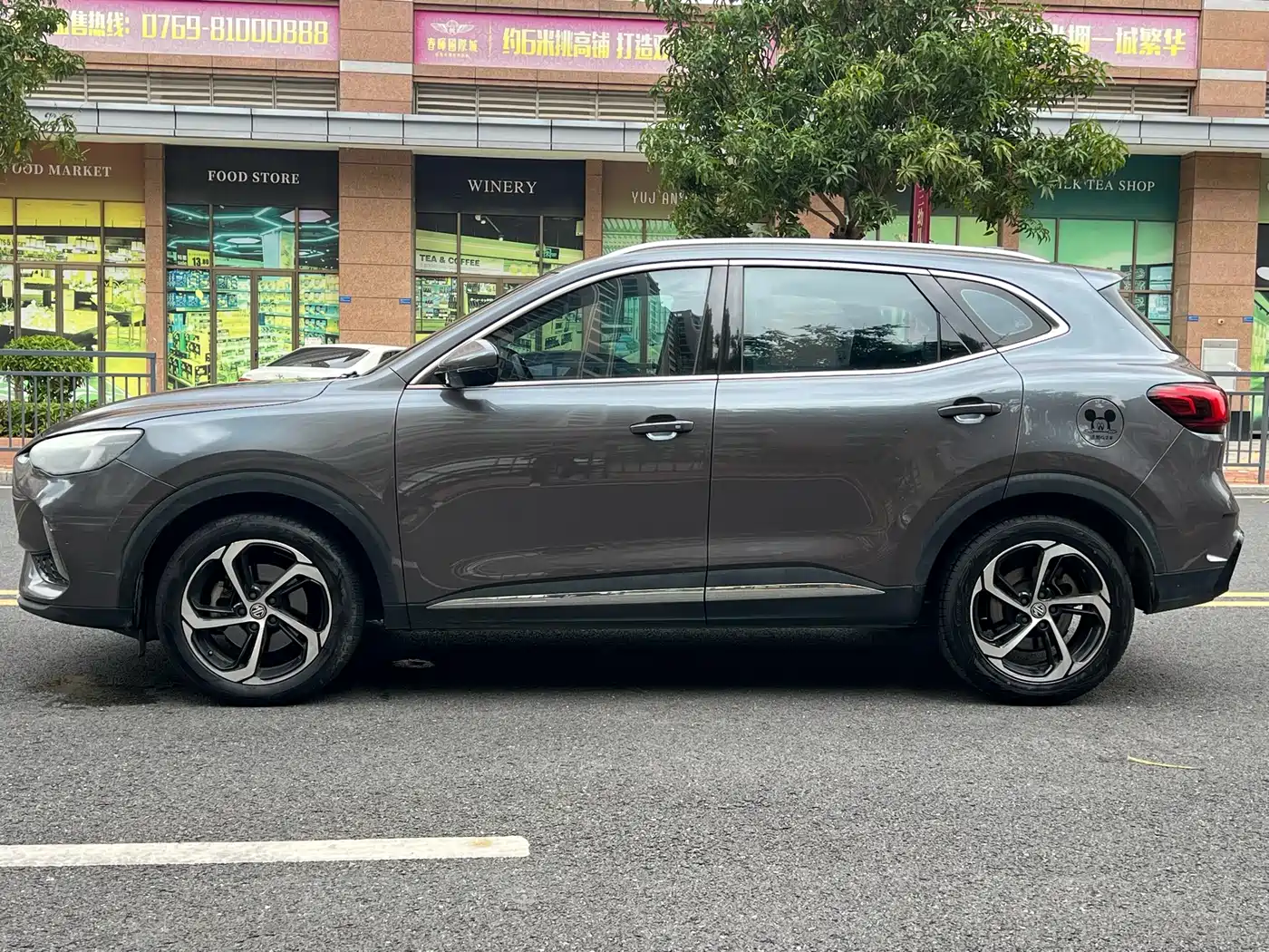 MG Pilot 2021 2021 300TGI Automatic 2WD Randong Luxury Edition
