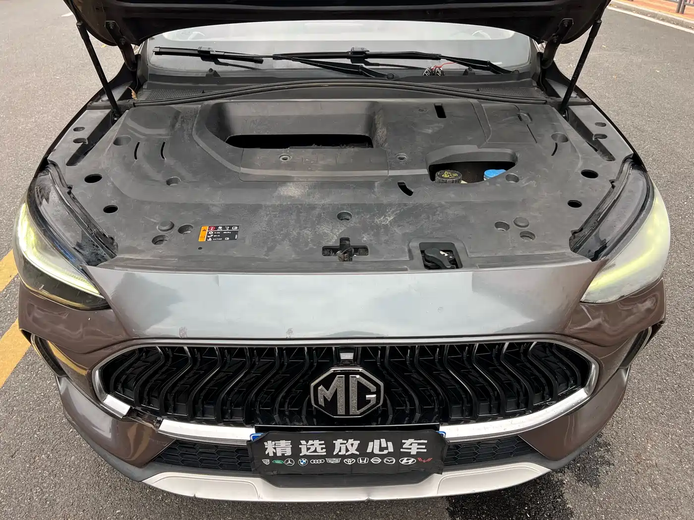 MG Pilot 2021 2021 300TGI Automatic 2WD Randong Luxury Edition