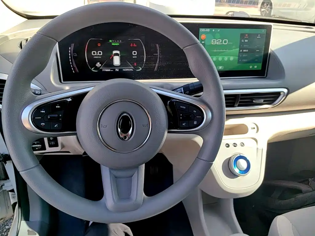 Ora White Cat 2020 2020 360km Luxury Model