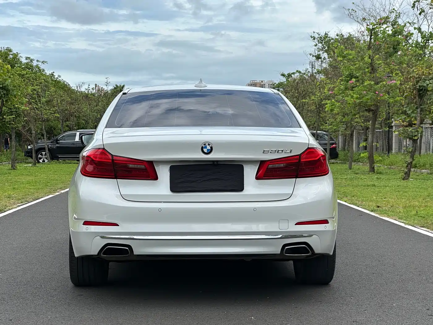 BMW 5 Series 2020 530Li Premium Luxury Package фото 5