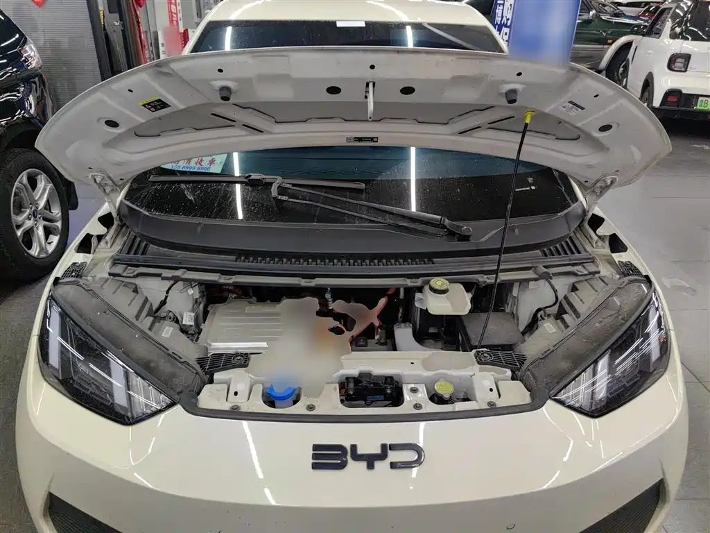 BYD Seagull 2025 Smart Drive Edition 305km Freedom Version фото 20