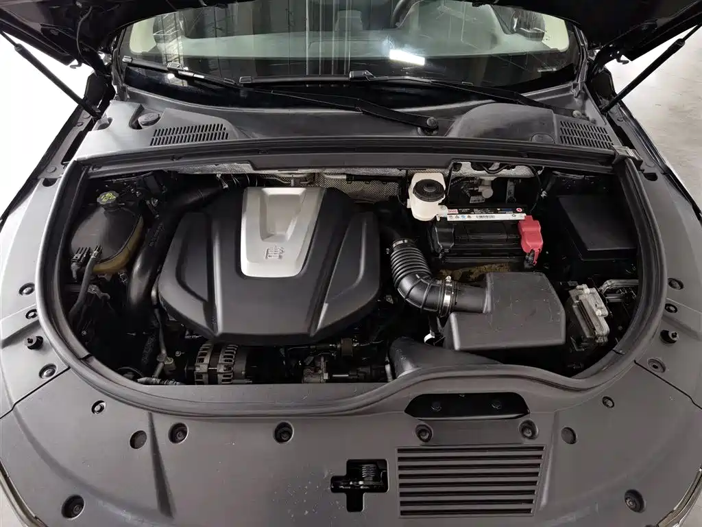 BYD Tang 2018 2.0T Automatic Smart Connection Noble Edition 7-Seater China V фото 6