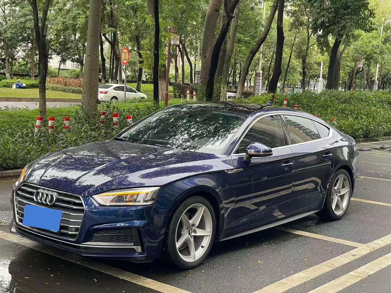 Audi A5 (Import)