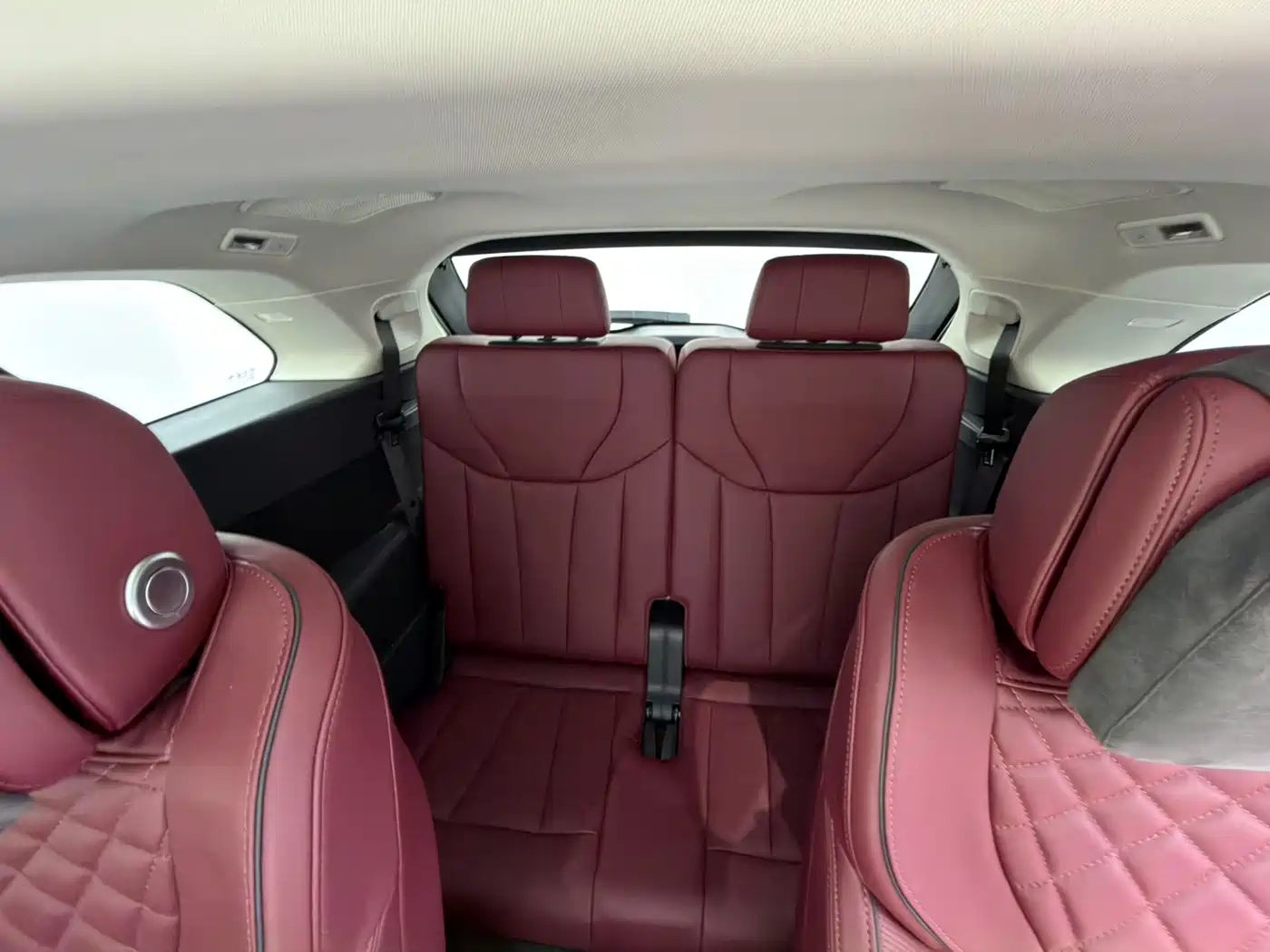 Hongqi E-HS9 2022 660km Qi Chang Edition (6-seater) фото 17