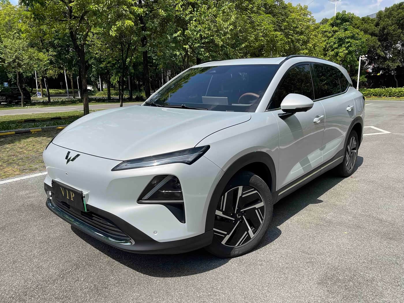 Wuling Motors Wuling Xingguang S