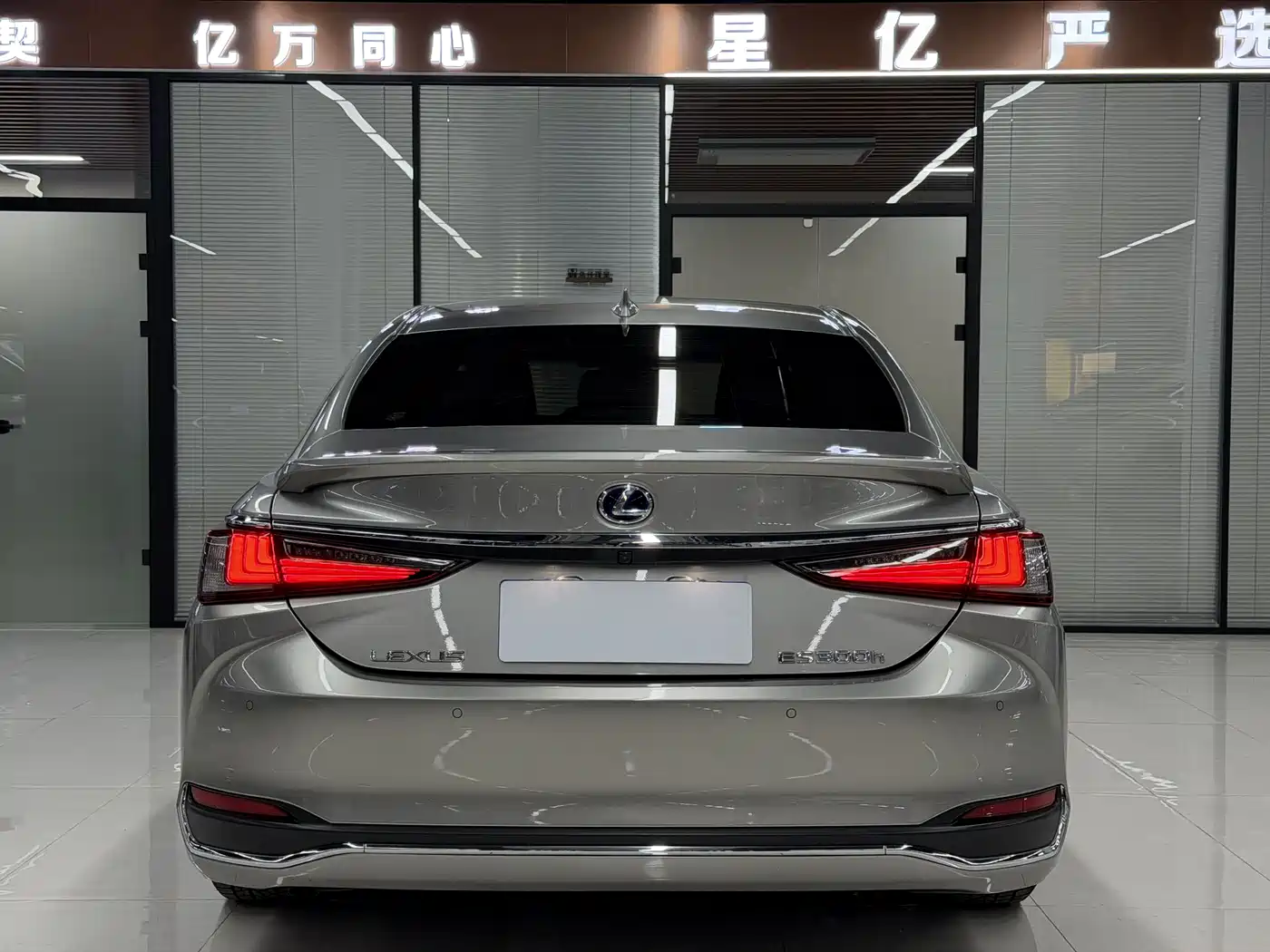 Lexus ES 2020 Model 300h Excellence Edition фото 19