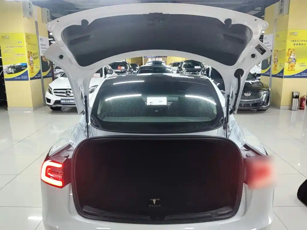 Tesla Model 3 2020 2020 Standard Range Rear-Wheel Drive Upgrade