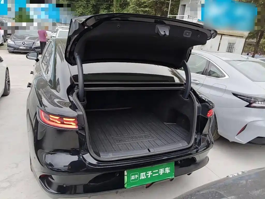 Voyah Passion 2024 2023 4WD Flagship Edition