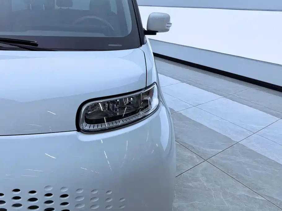 Ora White Cat 2021 2020 305km Luxury