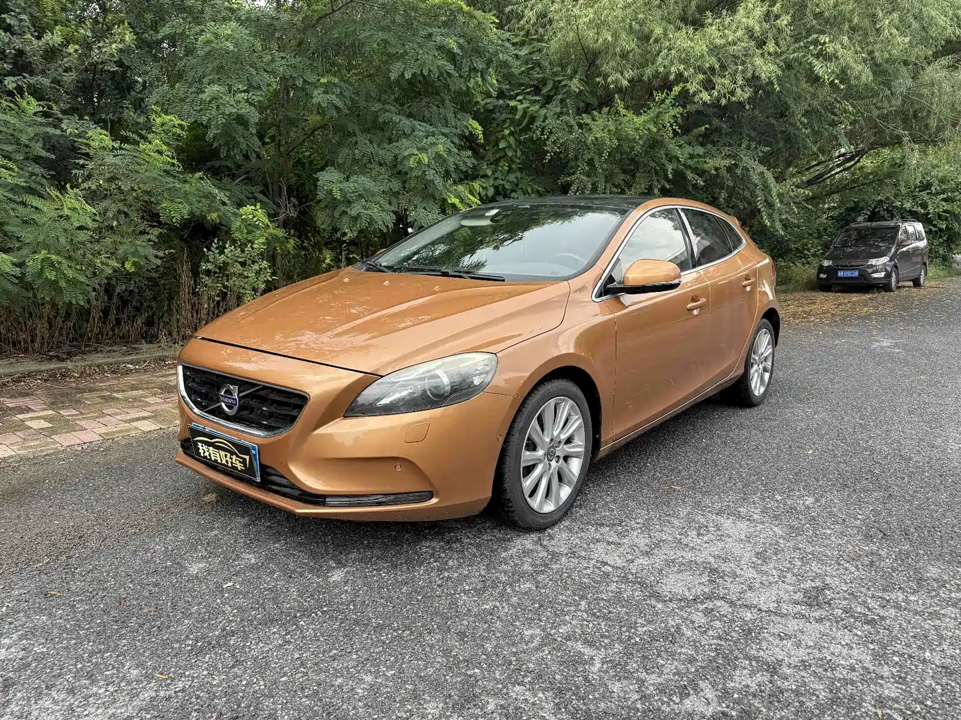 Volvo V40 2013 2013 2.0T Wisdom Edition