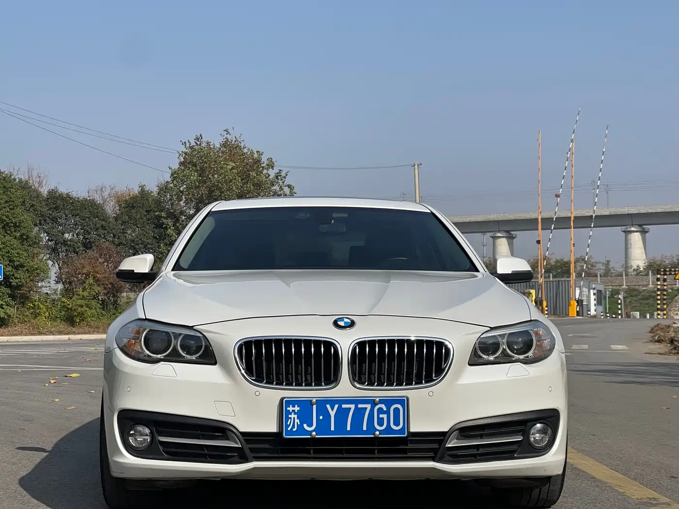 BMW 5 Series 2014 525Li Leading фото 2