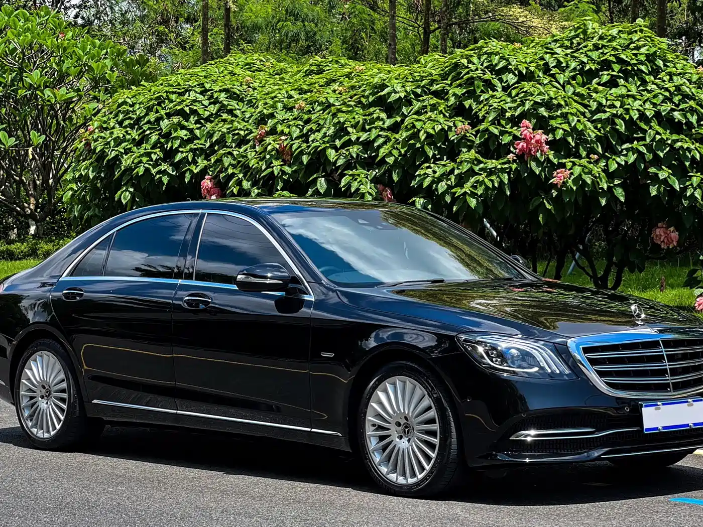 Mercedes-Benz S-Class 2020 S 350 L Business Edition Collector's Version фото 3
